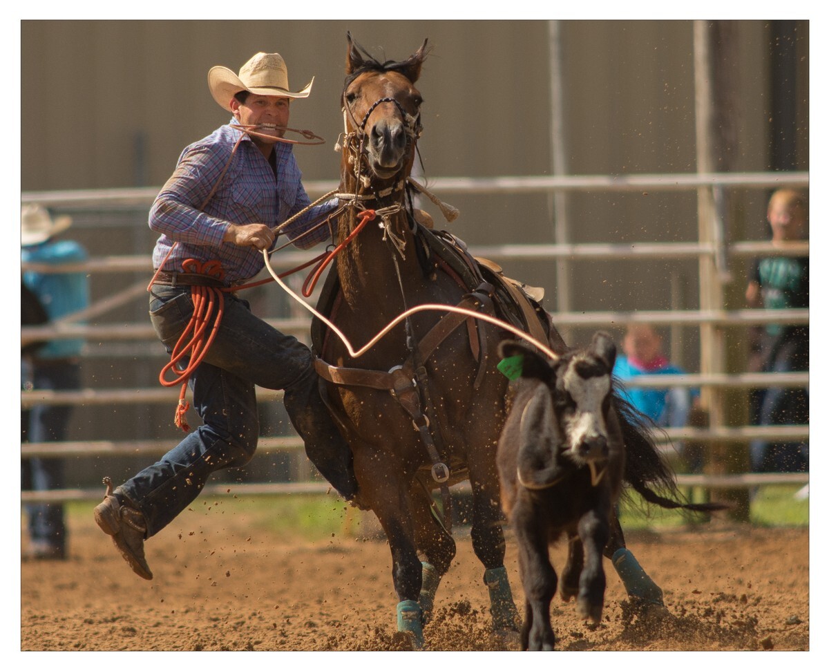 Rodeo Portfolio - Tie Down 03 - Rodeo