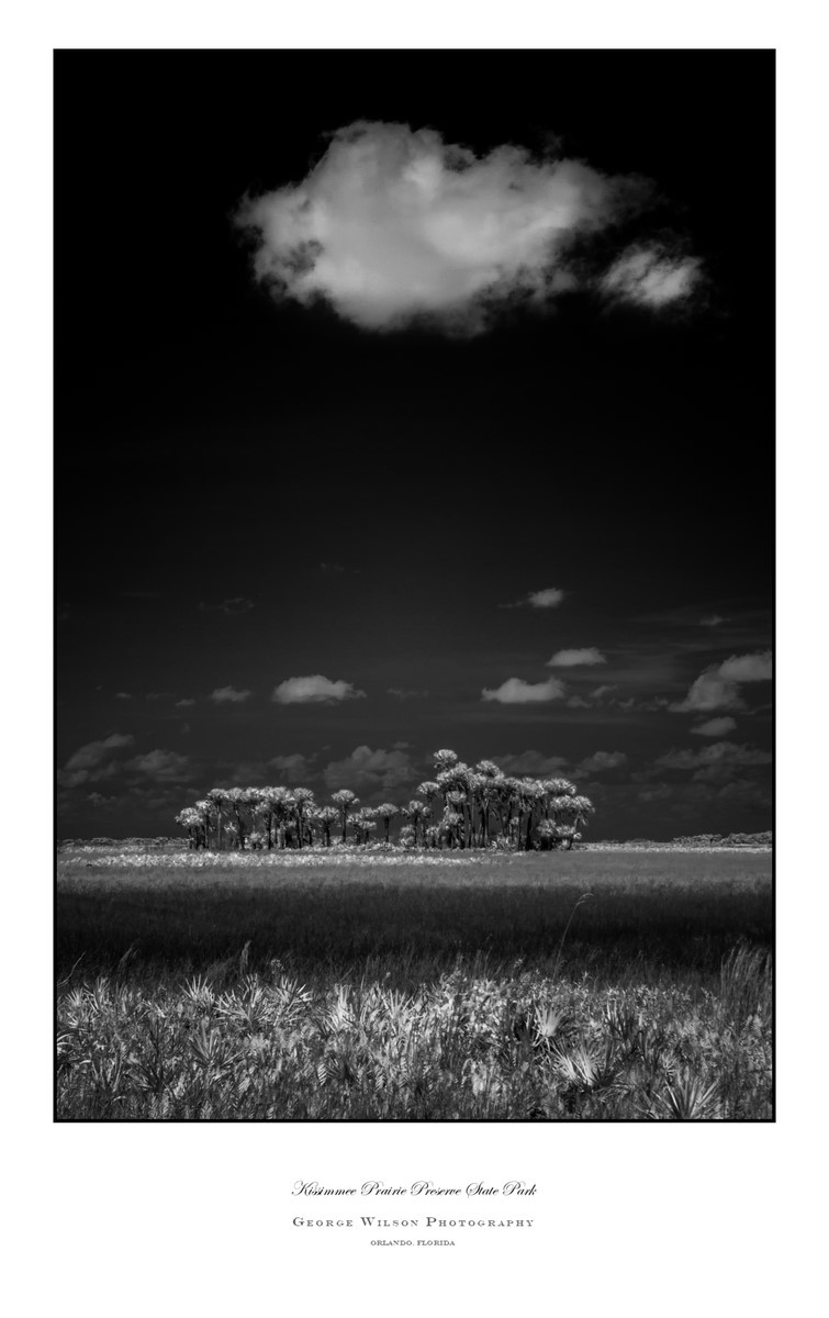 Kissimmee Prairie Preserve SP I - Florida State Parks