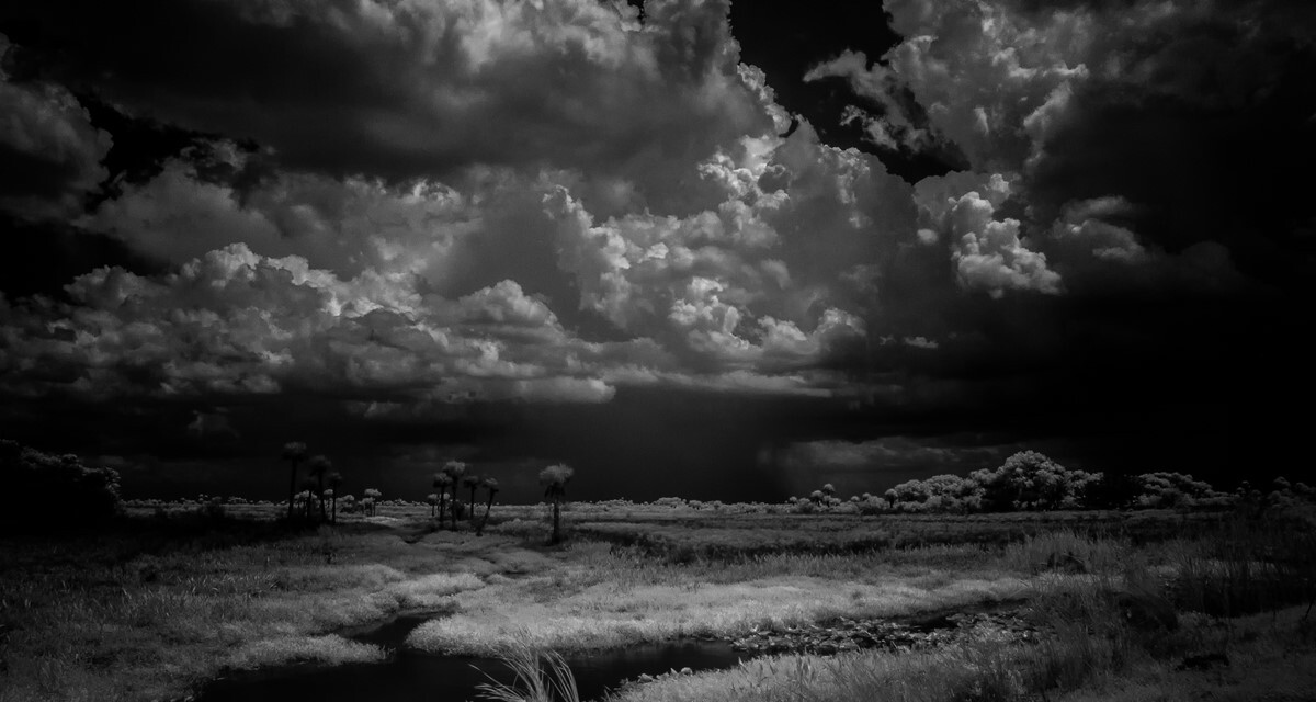 Imminent Storm - Florida Collection