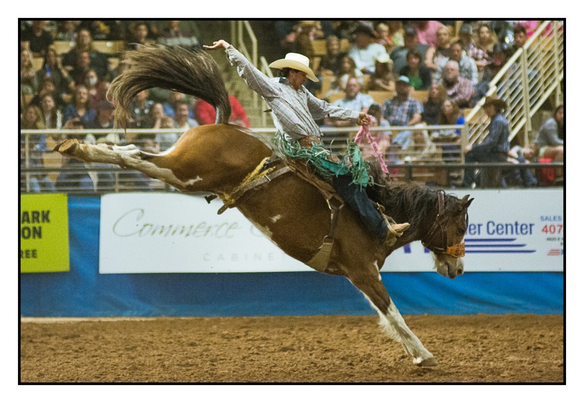 Saddle Bronc 1 - Rodeo