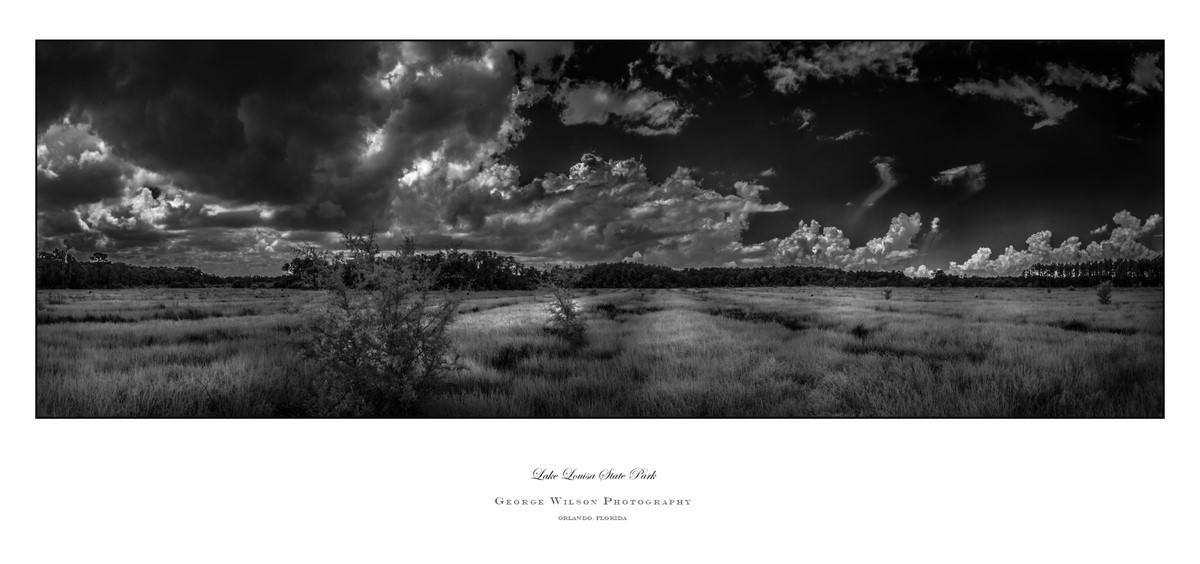Lake Louisa SP I - Florida State Parks