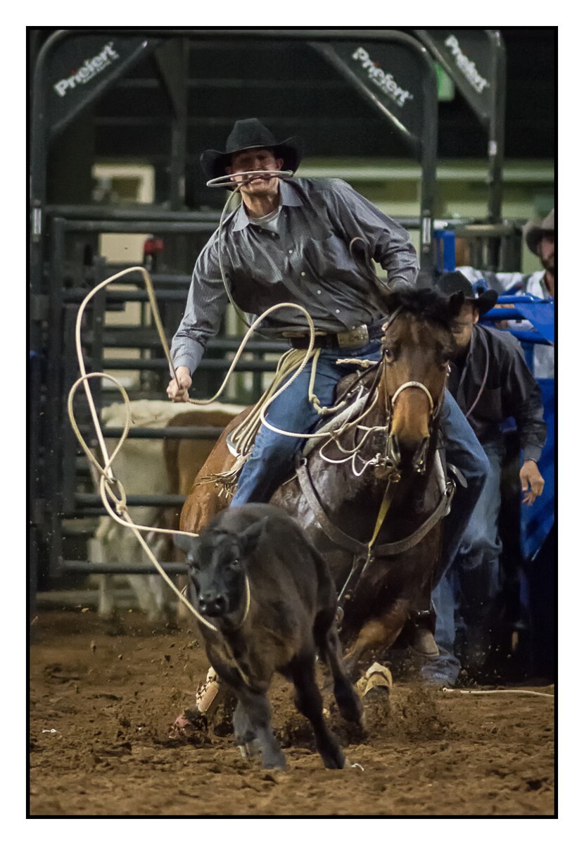 Calf Roping 3 - Rodeo