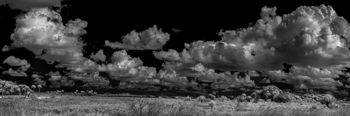 Sevenmile Slough II - Fine Art Black & White Panoramic 3:1 Ratio