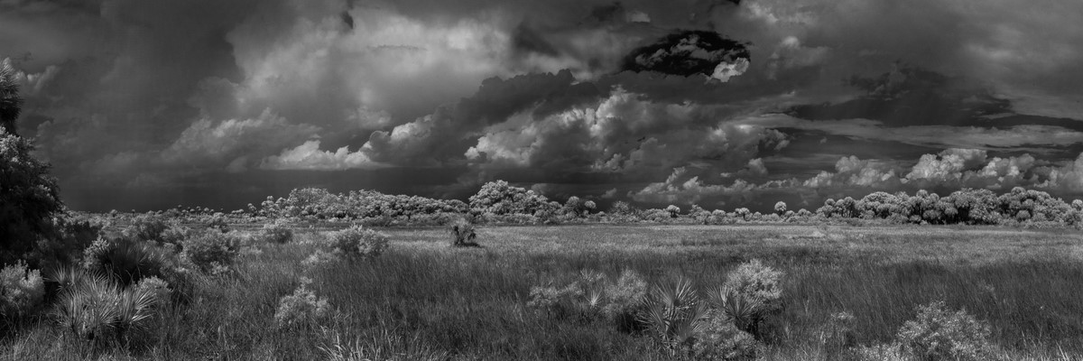 Gathering Storm - Fine Art Black & White Panoramic 3:1 Ratio