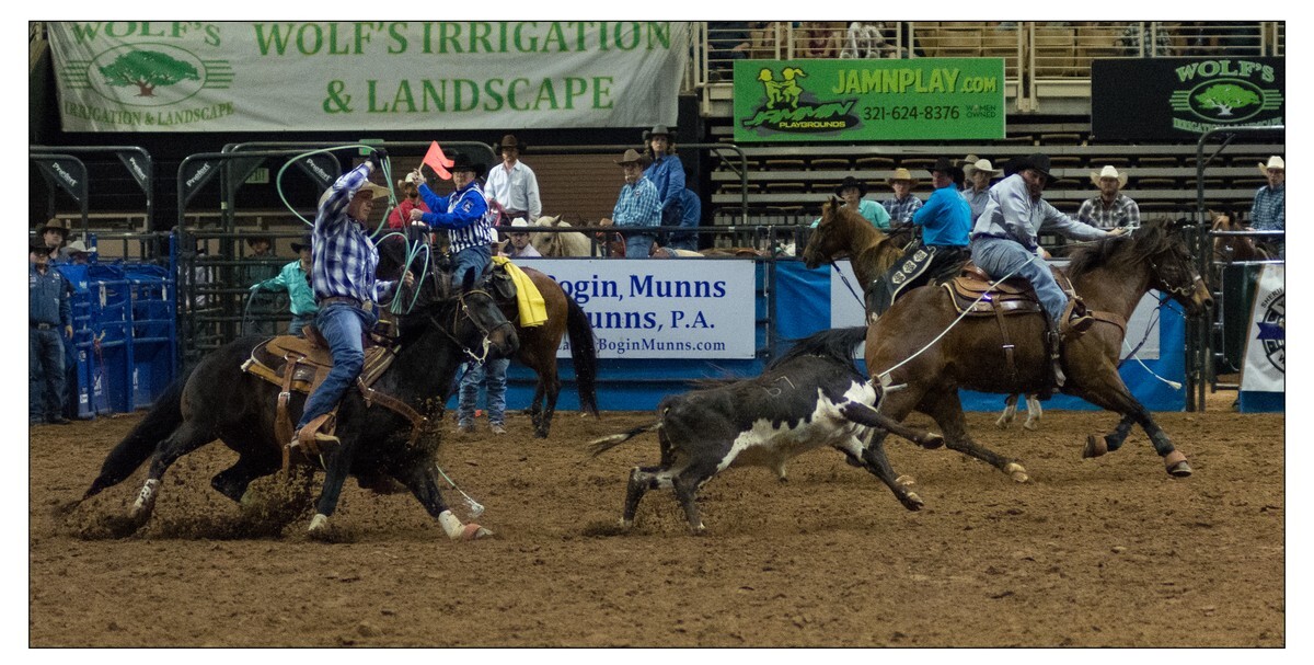 Team Roping 3 - Rodeo