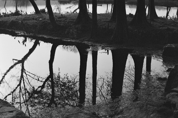 Botanical Garden (Nanjing) #1 - Nanjing