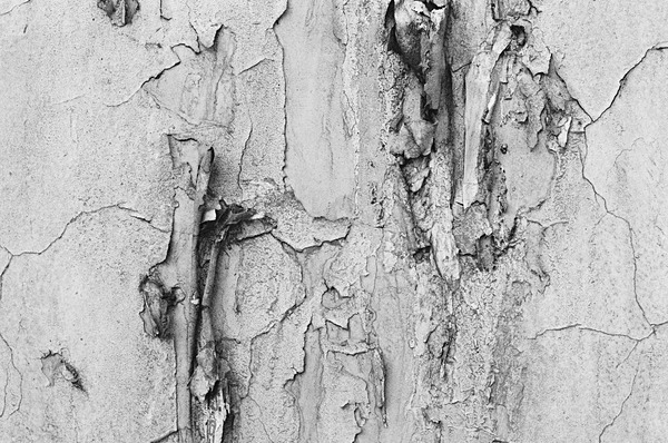 Still Life Moscow #5 - Moscow