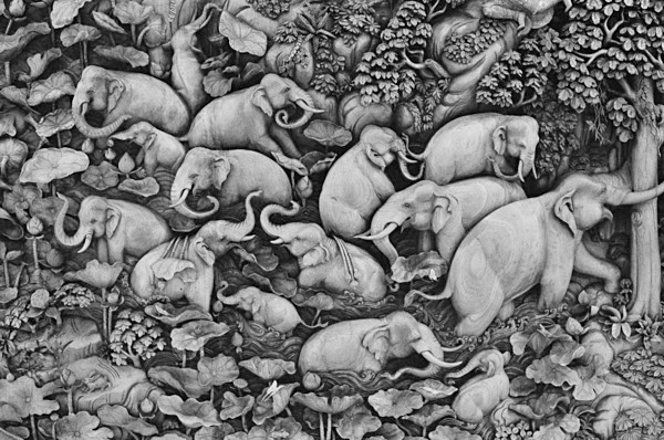 Elephants (Bangkok) - Asia