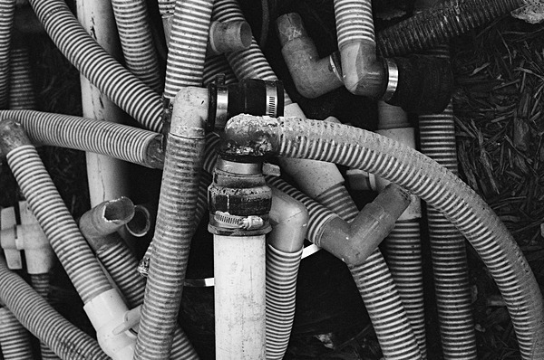 Hoses (Miami Causway) #1 - Miami Causway