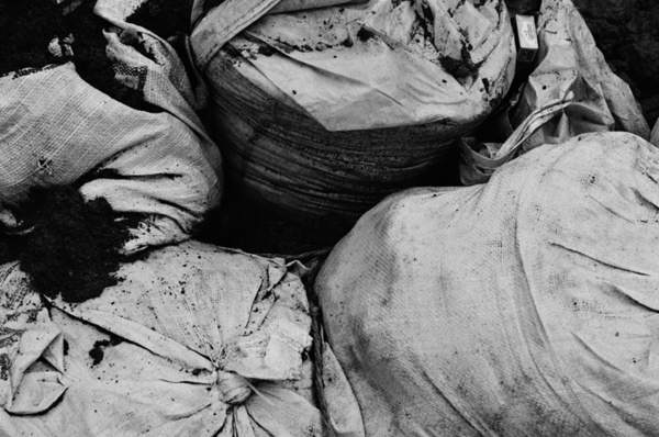 Still Life (Jakarta) #8 - Indonesia