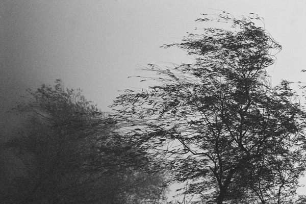 Winterscape (Suwon) #2 - Korea