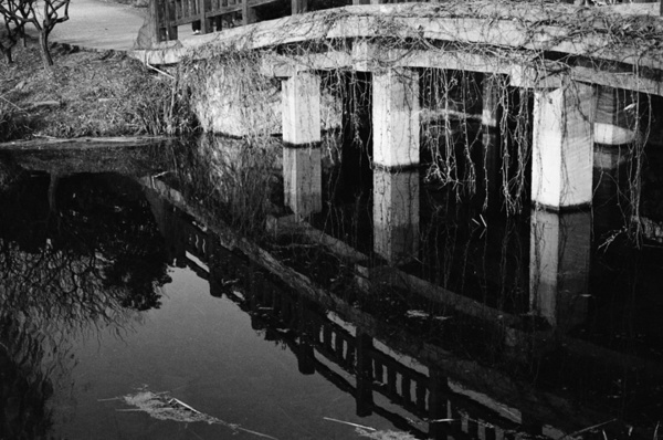 Botanical Garden (Nanjing) #10 - Nanjing