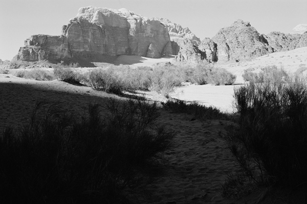 Wadi Rum (Jordan) #1 - Petra