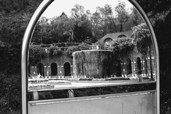 Botanical Garden (Jeju) #4 - Korea