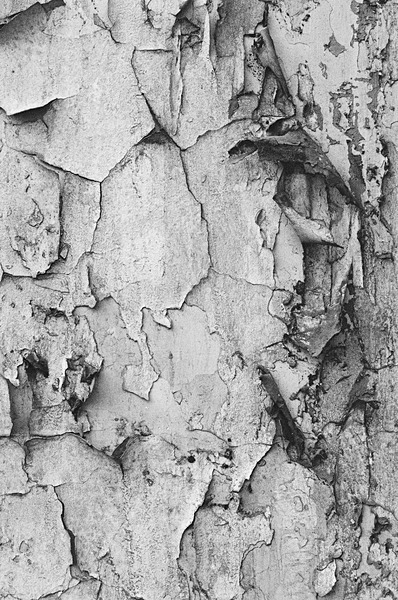 Still Life Moscow #7 - Moscow