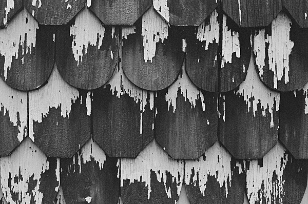 Shingles (Kent Island) #4 - Eastern Shore Maryland