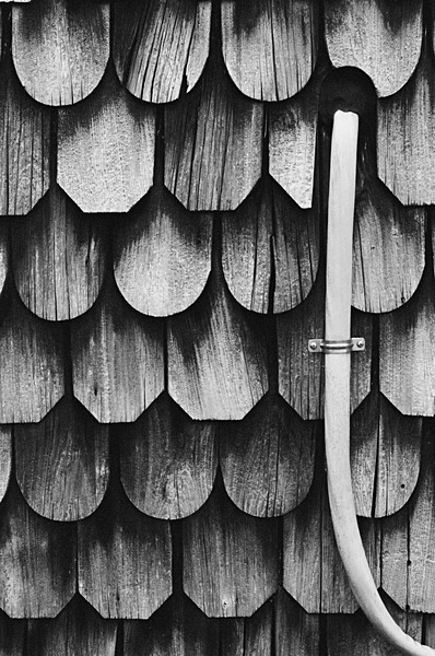 Shingles (Kent Island) #5 - Eastern Shore Maryland