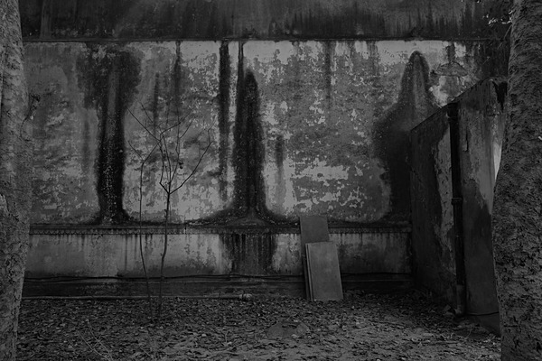 Wall (Taj Usha Kiran Palace, Gwalior) - Digital Black and White Images
