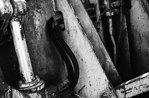 Still Life (Haines, Alaska) #2 - Alaska