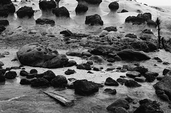 Geopark (Yehliu) #8 - Taiwan