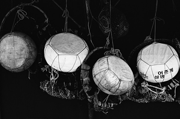 Still Life (Jeju) #2 - Korea