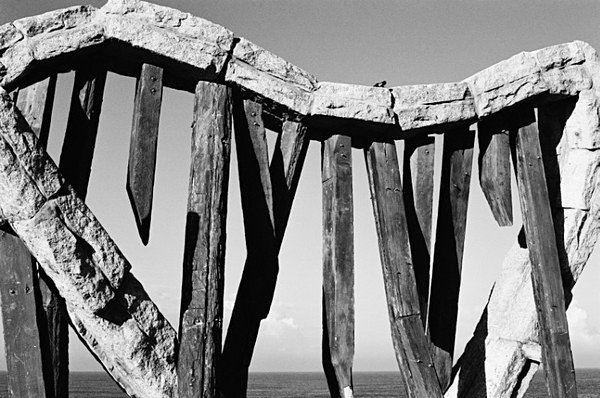 Still Life (Tel Aviv) #15 - Israel and Middle East