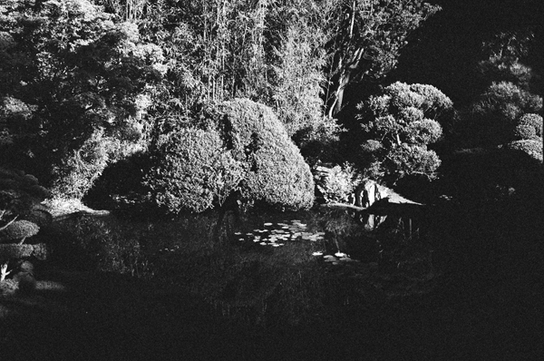 Botanic Garden (SF 2013) #12 - California