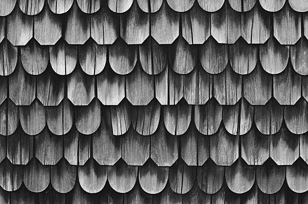 Shingles (Kent Island) #1 - Eastern Shore Maryland