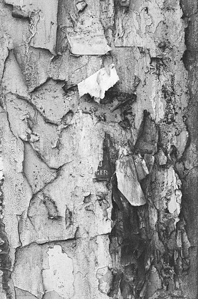 Still Life Moscow #6 - Moscow