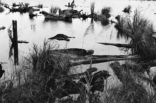 Waterscape (Luodong Cultural Park) #2 - Taiwan