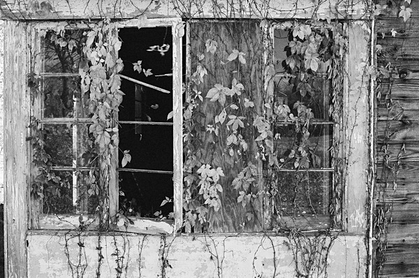 Abandoned (Kent Island) #2 - Eastern Shore Maryland