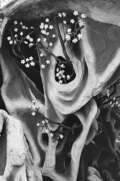 Still Life (Singapore) #6 - Singapore