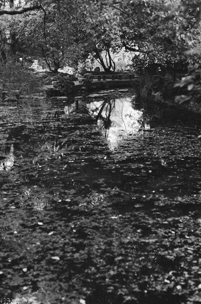 Waterscape (Changfeng Park) #7 - Shanghai