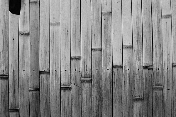 Bamboo Kyoto #3 - Japan