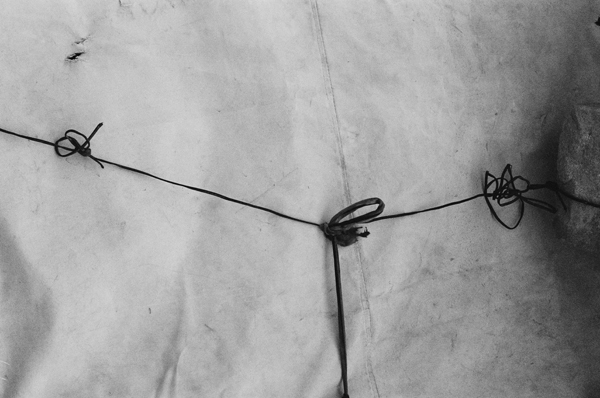 Still Life (Petra) #1 - Petra