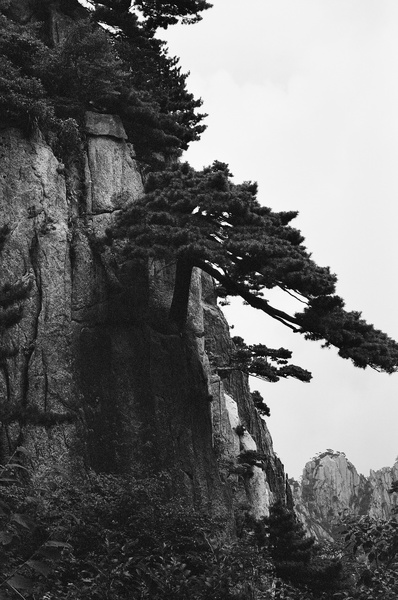 Above the Clouds (Mt Huangshan) #8 - Hangzhou and Yellow Mountain