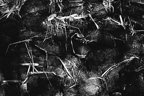 Still Life (Shimen, New Taipei City) #2 - Taiwan