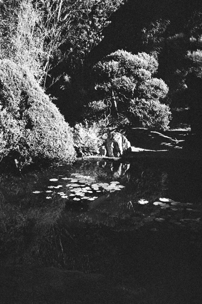 Botanic Garden (SF 2013) #13 - California