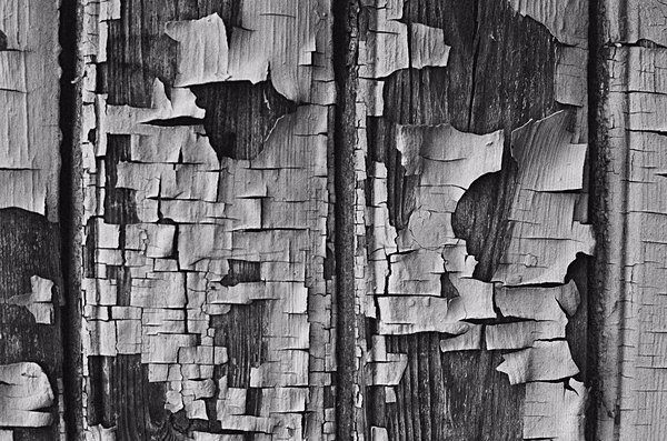 Still Life (Latvia) #5 - Europe
