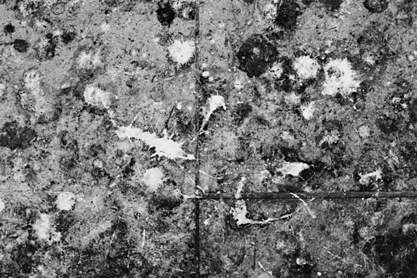 Still Life (Newcastle) #1 - Newcastle