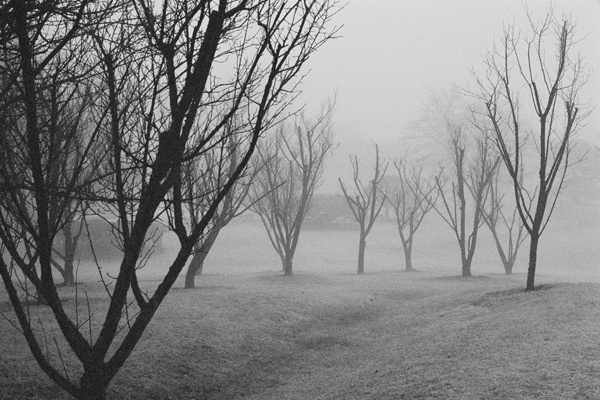 Winterscape (Suwon) #1 - Korea