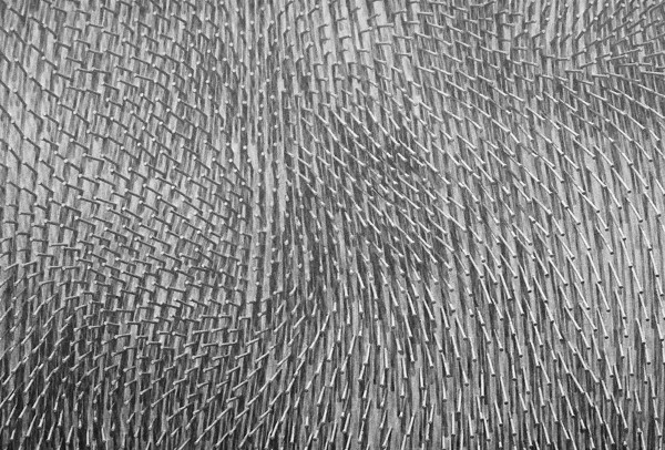 White Nails (MOMA) #2 - New York