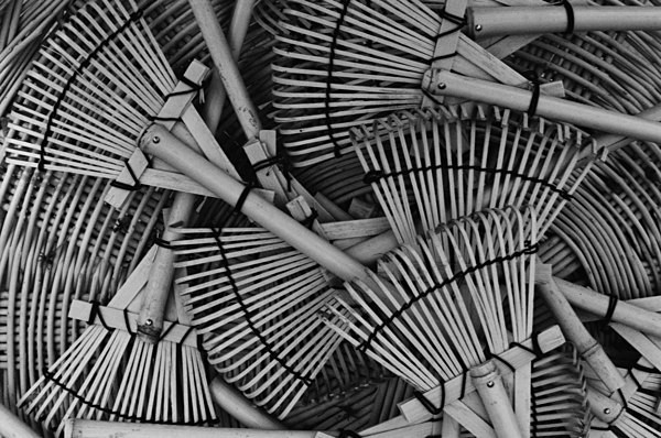 Still Life (Gyeongju) #4 - Korea