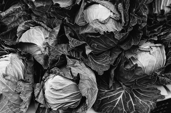 Cabbages (Taipei) - Taiwan