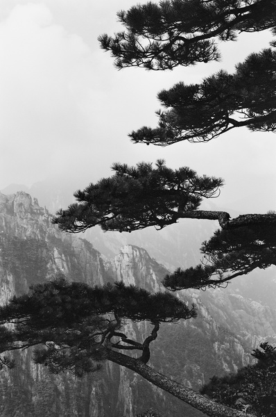 Above the Clouds (Mt Huangshan) #13 - Hangzhou and Yellow Mountain