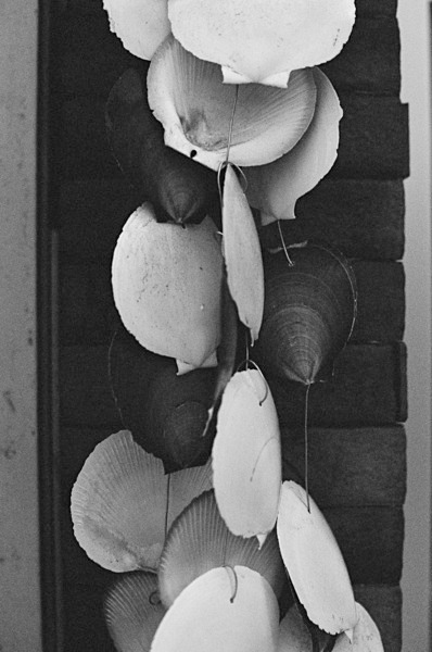 Still Life (Tokyo) #4 - Japan