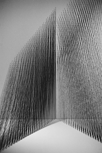 Still Life (Lima) #2 - South America