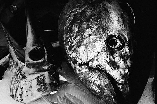 Still Life (Vancouver) #3 - Canada