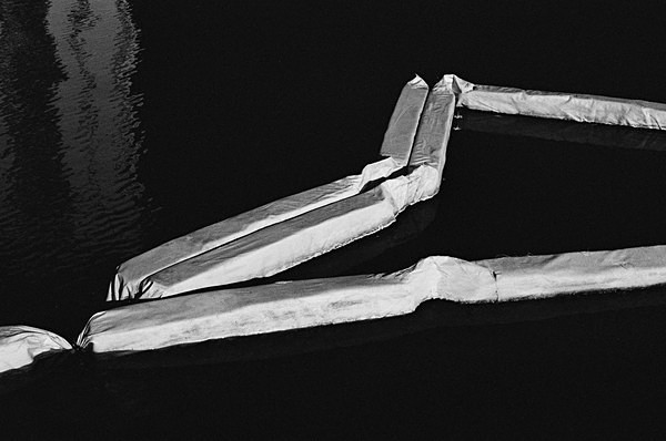 Still Life (Miami Causway) #8 - Miami Causway