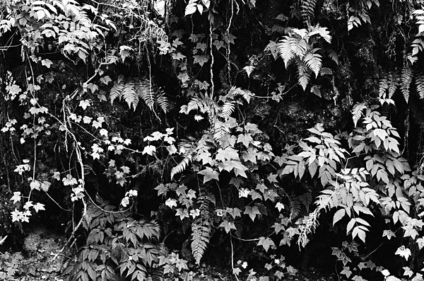 Alaska2017 #25 - Alaska